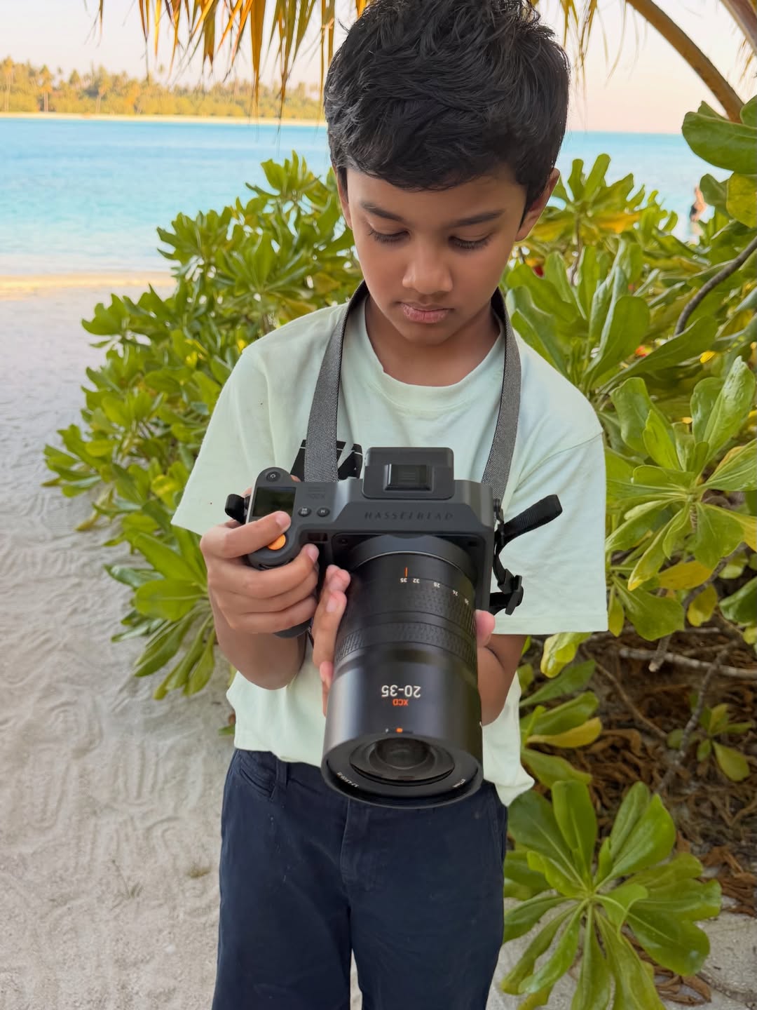 Camera on the beach